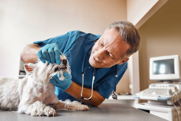 Best Emergency Root Canal Treatment in Dunes City, OR